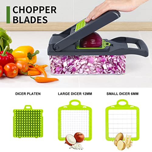 RAIQEE Vegetable Choppers  Our Point Of View 